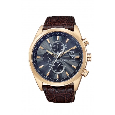 Ceas Citizen barbatesc Ed. Limitata Perpetual Chrono A-T AT8013-17E