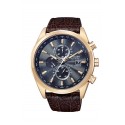 Ceas Citizen barbatesc Ed. Limitata Perpetual Chrono A-T AT8013-17E