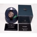 Ceas de mana barbatesc Citizen Perpetual Chrono A-T AT4006-06X