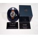 Ceas de mana barbati Citizen Avion WR 100 AO9030-05E