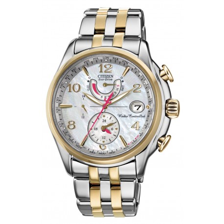 Ceas de mana Citizen World Time A-T FC0004-58D