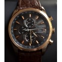 Ceas Citizen barbatesc Ed. Limitata Perpetual Chrono A-T AT8013-17E