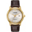 Ceasuri de mana barbatesti Citizen Men's Straps AW1232-04A