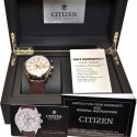 Ceas Citizen Watches  barbatesc Ed. Limitata Perpetual Chrono A-T AT8010-23A