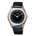 Ceas Citizen AR5014-04E