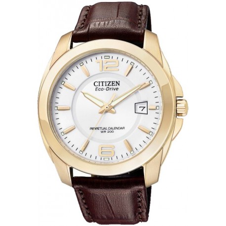 Ceas de mana barbati Citizen Perpetual Calendar BL1223-07A