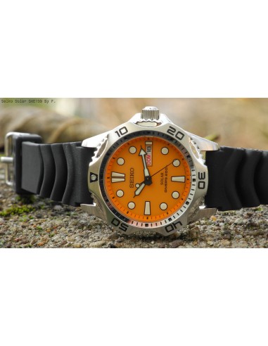 Seiko sne online 109